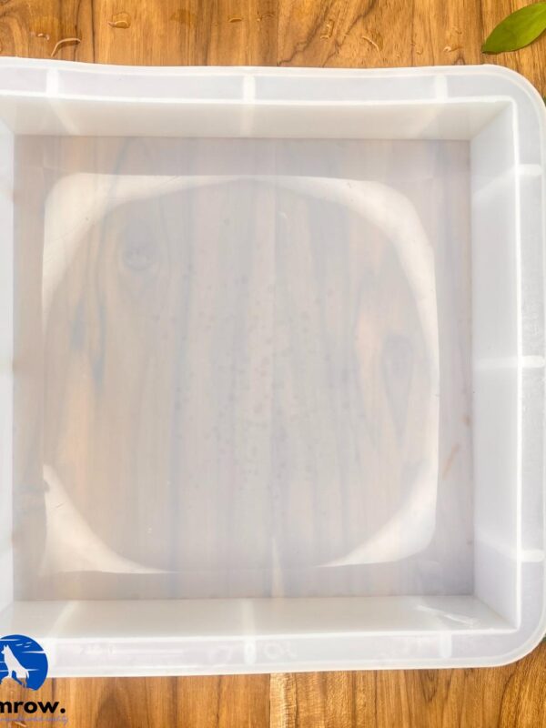 Square Deep Casting Mould 6.5 inch 55mm