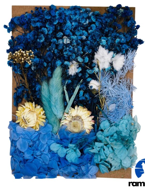 Mixed Dry Flower Pack-1