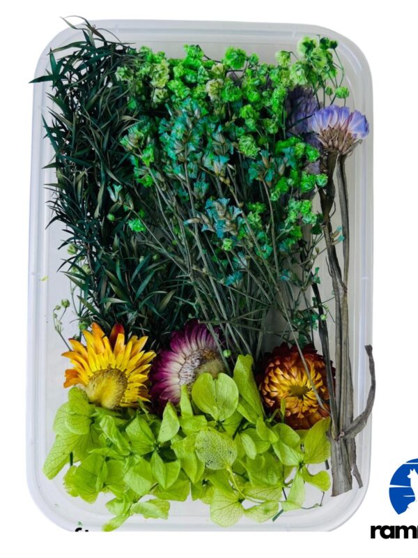 Mixed Dry Flower box-1