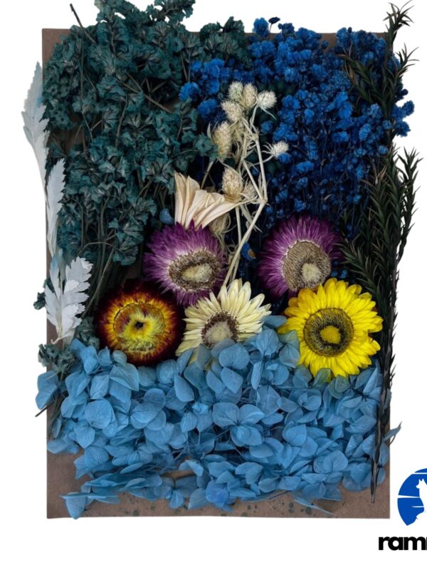 Mixed Dry Flower Pack-6