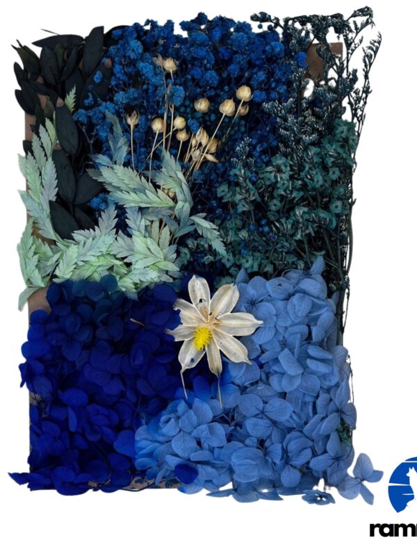 Mixed Dry Flower Pack-7