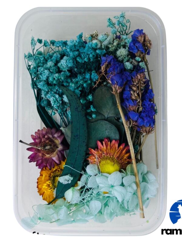 Mixed Dry Flower Box-3