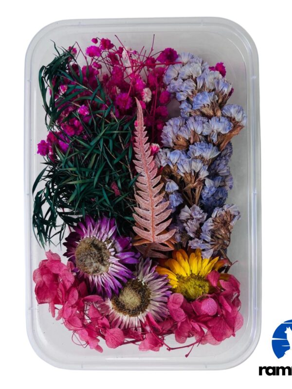 Mixed Dry Flower Box-4