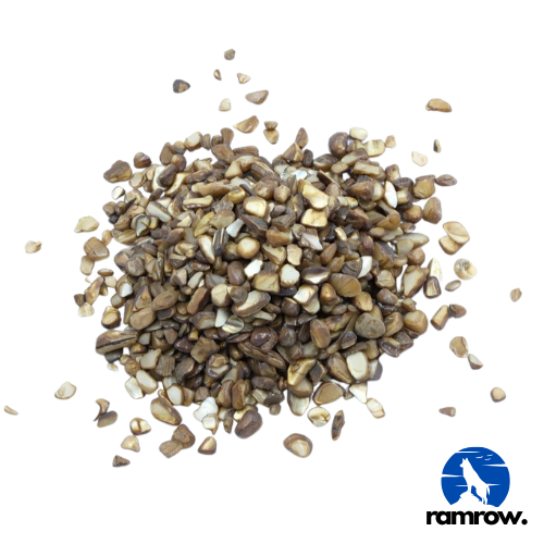 SHELL STONE (20 GMS)